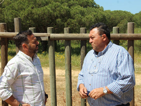 VOX exige a la Junta que reanude de forma inmediata los trabajos deprevención de incendios en el entorno de Doñana.