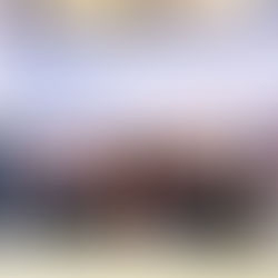 La Diputación avanza en la puesta en marcha de los planes EDIL tras su participación en el XII Pleno de la Red de Iniciativas Urbanas