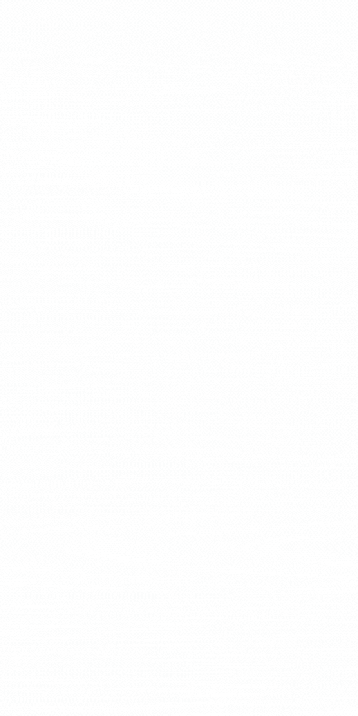 DIP 2.gif