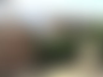 El incendio del Parque Alonso Sánchez pudo ser provocado por algunos indigentes