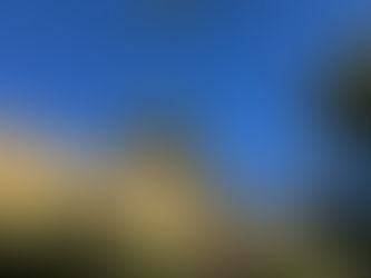 El Ayuntamiento comenzará los trabajos para asegurar la conservación del patrimonio arqueológico del Cabezo de la Joya a mediados de enero