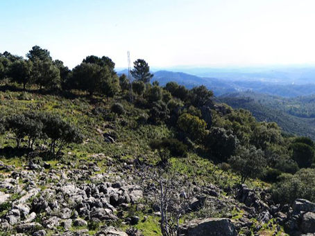 Rescatan a dos jóvenes tras caer por un barranco en Almonaster la Real