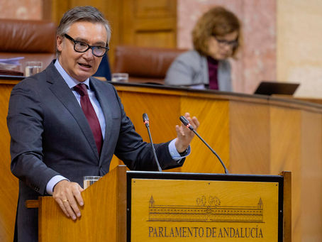 VOX critica el presupuesto andaluz de 2025 y advierte que mantiene "la forma de gobernar socialista" del PP