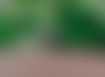 Confirman un nuevo caso de Fiebre del Nilo en Dos Hermanas y refuerzan vigilancia en Andalucía