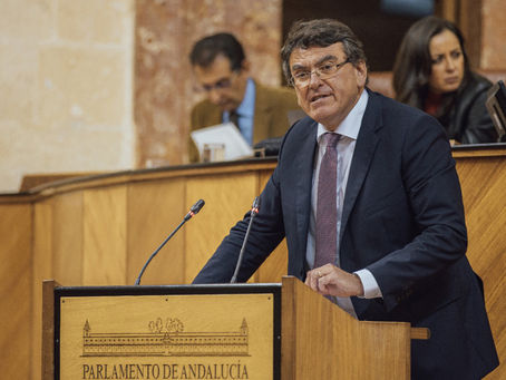 VOX reclamará este viernes el apoyo del Parlamento para que Junta y Gobierno cofinancien el AVE Huelva-Sevilla