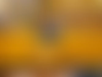 VOX exige al Gobierno de Moreno Bonilla incluir una partida presupuestaria para el Hospital Maternoinfantil de Huelva