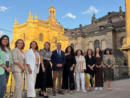 Las ocho diputaciones andaluzas coordinan en Granada la campaña institucional del 25N
