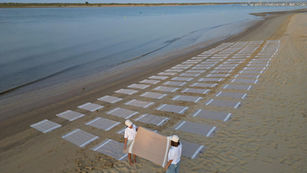 Las playas de Huelva amanecen con centenares de toallas que invitan a descubrir Saggita