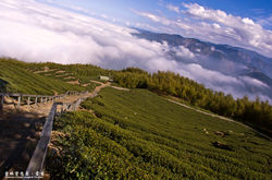 Mt. Dajian Hiking Trail