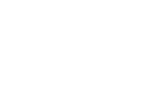 s logo valk.png