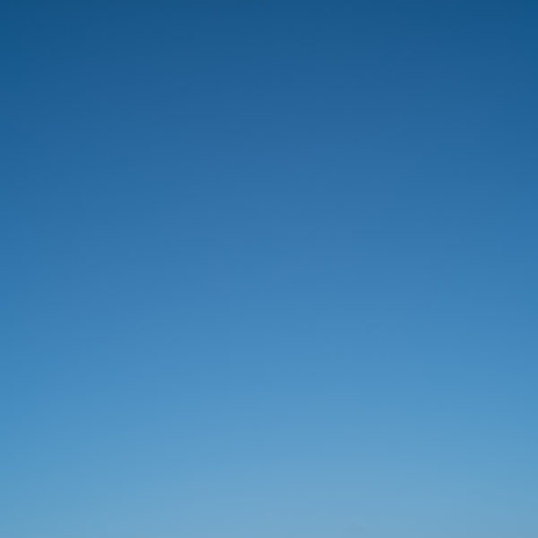 Transferwise logo.png