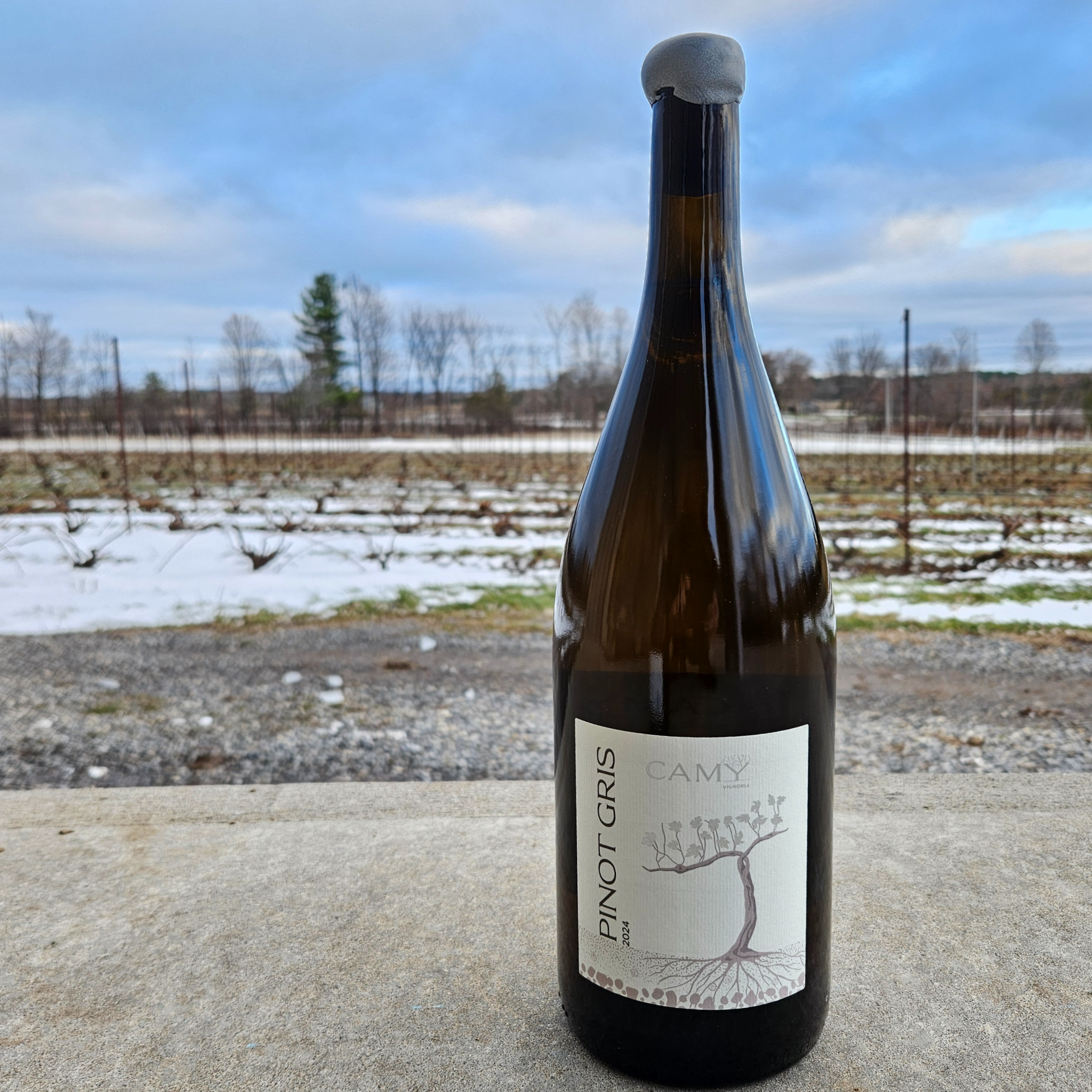 Magnum de Pinot Gris 2025