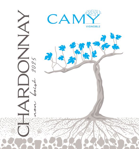Chardonnay non-boisé 2025 - Micro cuvée!