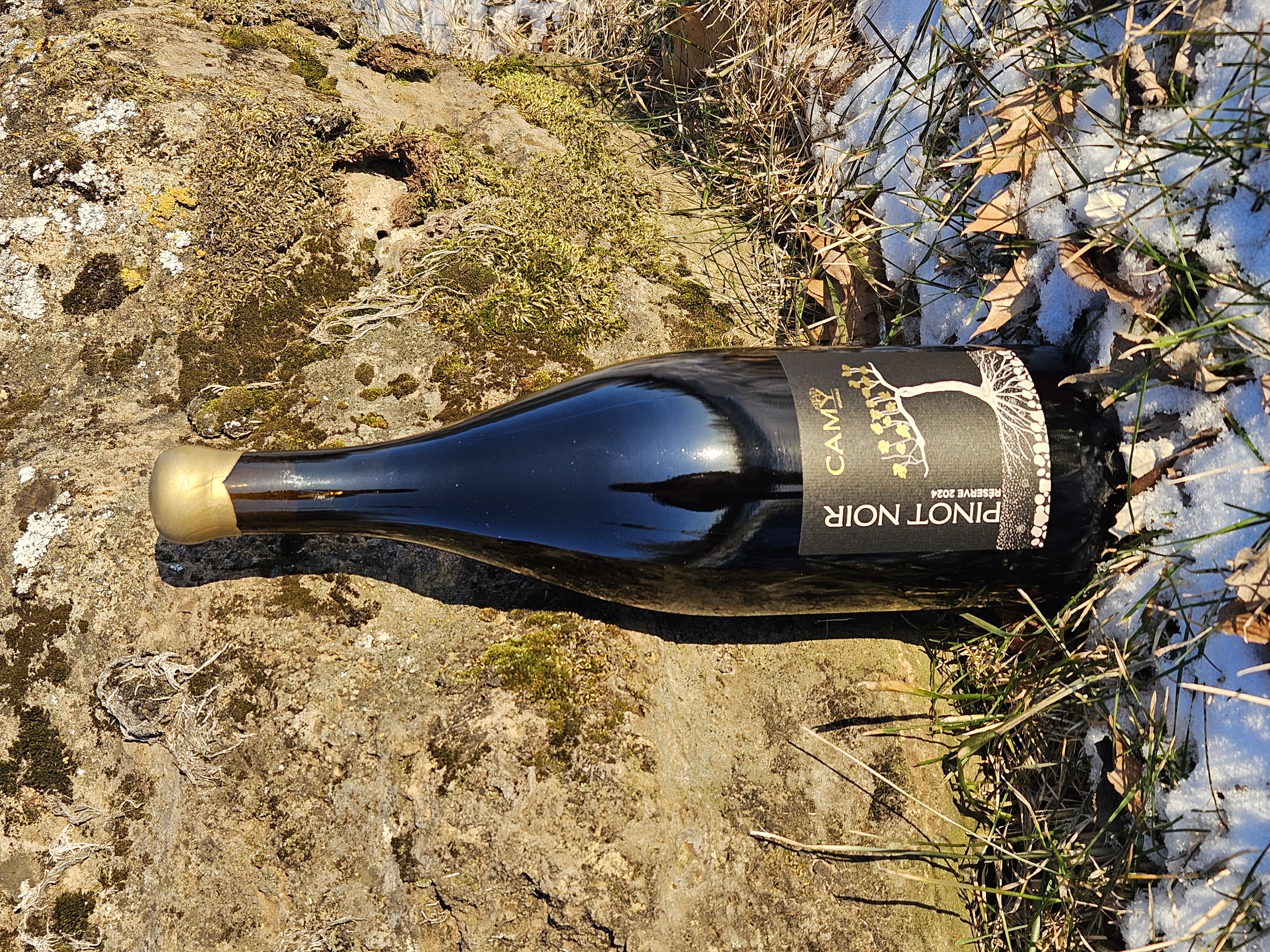Magnum de Pinot Noir 2024