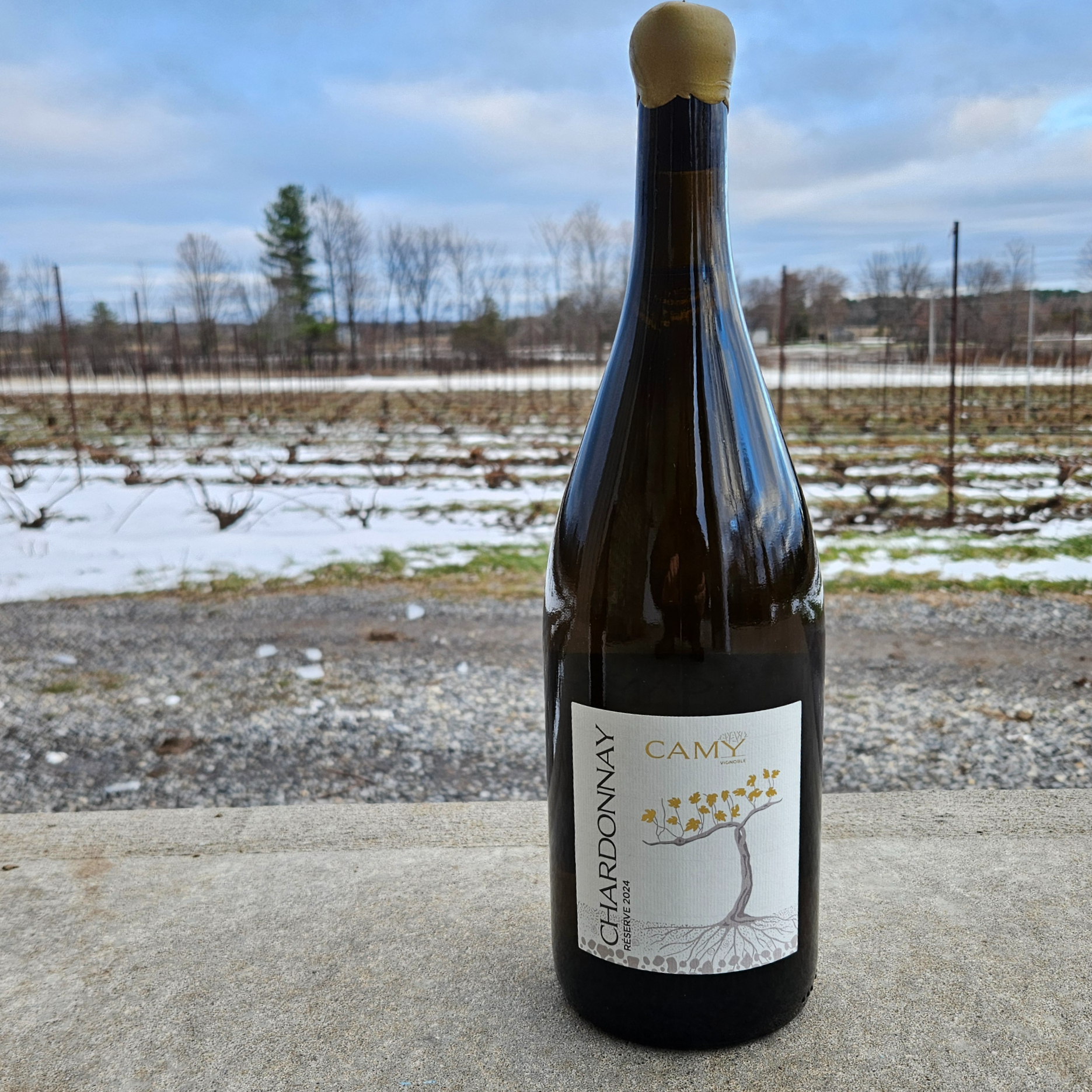 Magnum de Chardonnay Réserve 2024