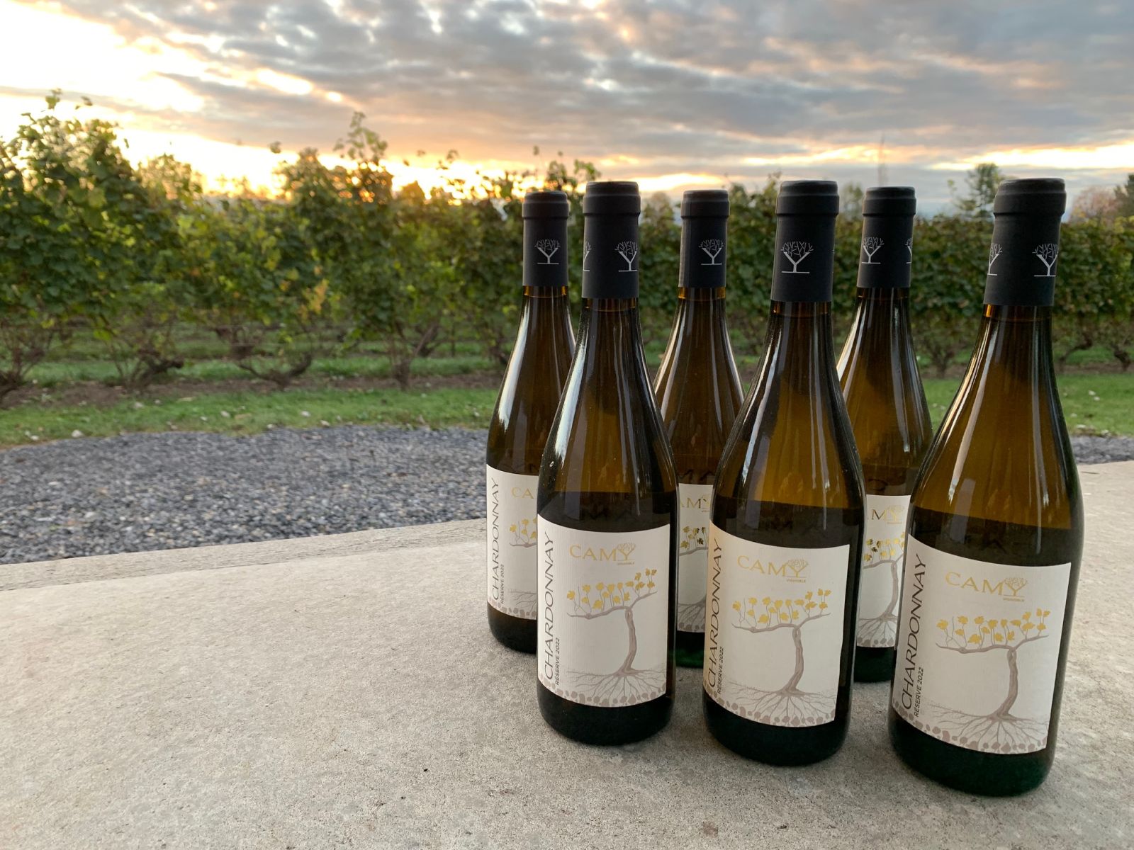 Chardonnay Réserve 2025