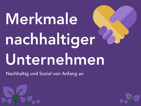 Merkmale nachhaltiger Unternehmen: Nachhaltig und Sozial von Anfang an