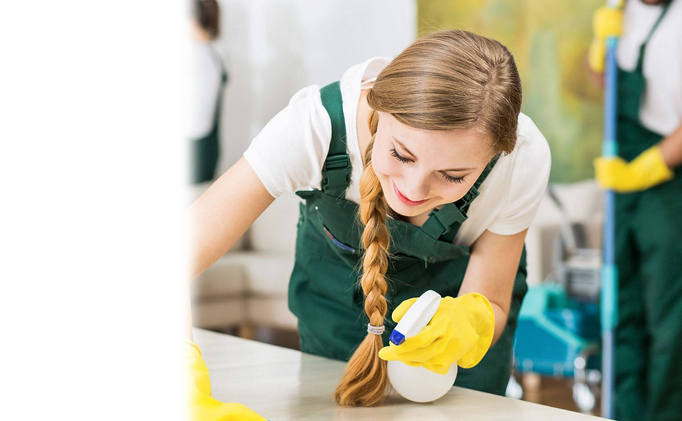 housekeeper-q7i0y8614u0cioga.png