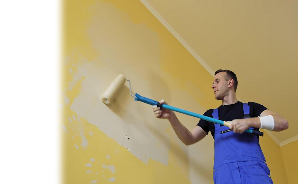 painter Template for Fethered slides.png