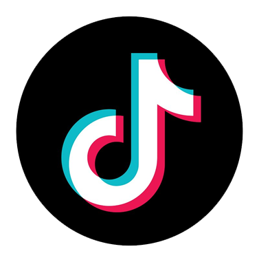 tiktok Logo in Transparent.png