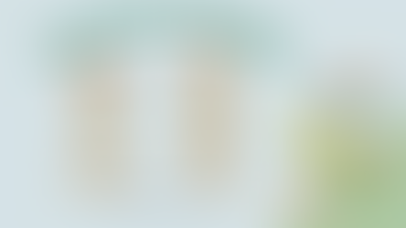 What to Plant in September for your Low Desert Garden