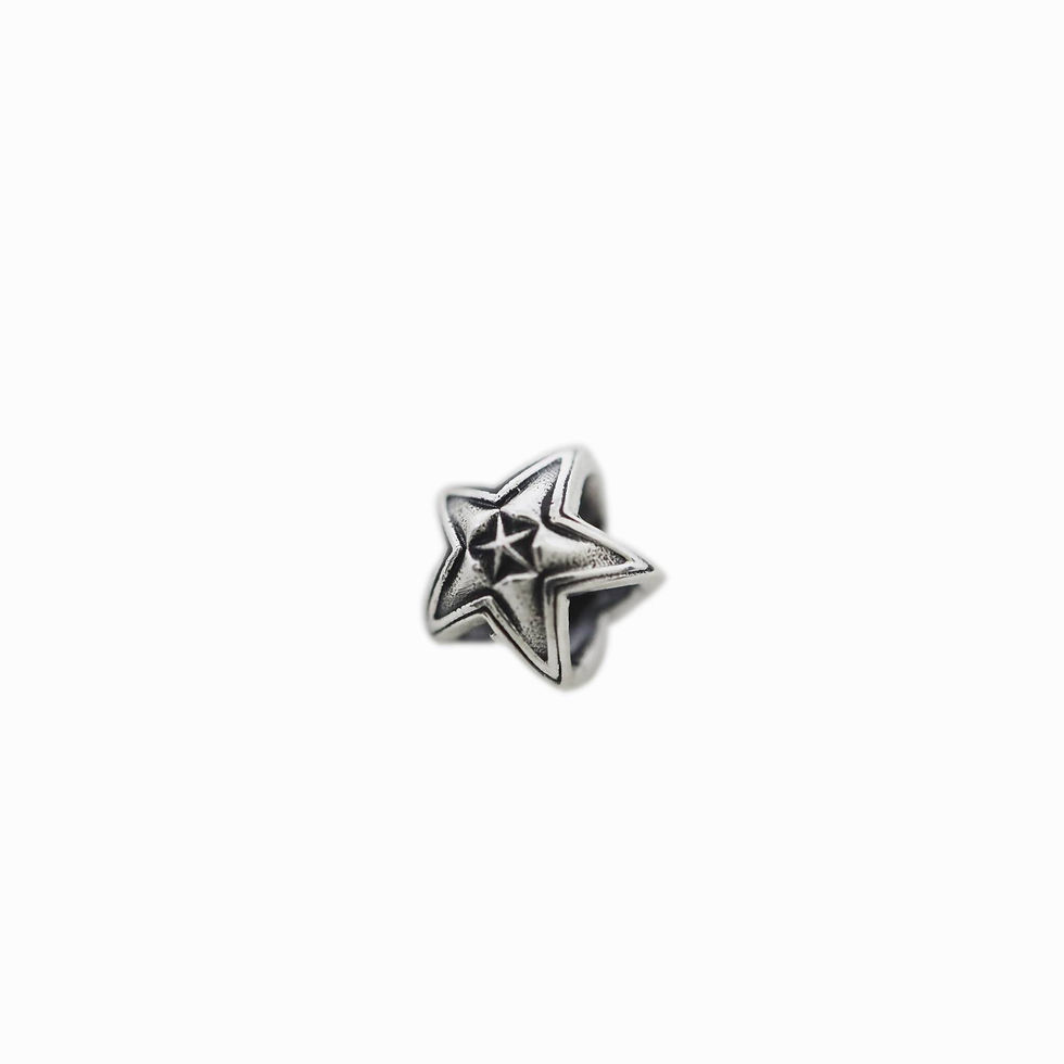 サムネイル： EXTRA TINY DOUBLE FACE STAR IN STAR STUD PENDANT