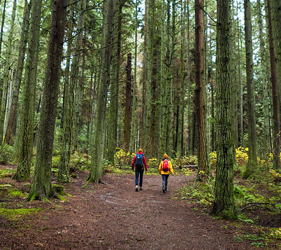 Trans Canada Trail.jpg