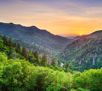 tennessee.jpg