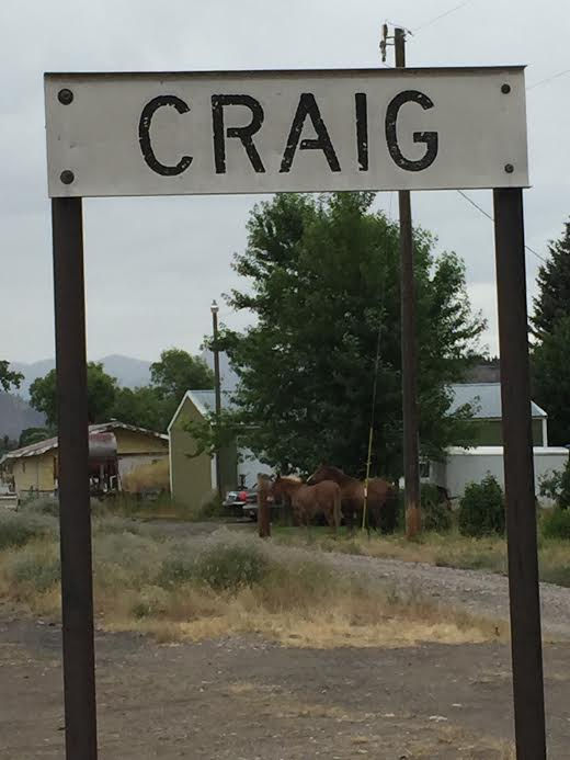 fa64eb02-30dd-4a10-8132-c85aa27f05ca