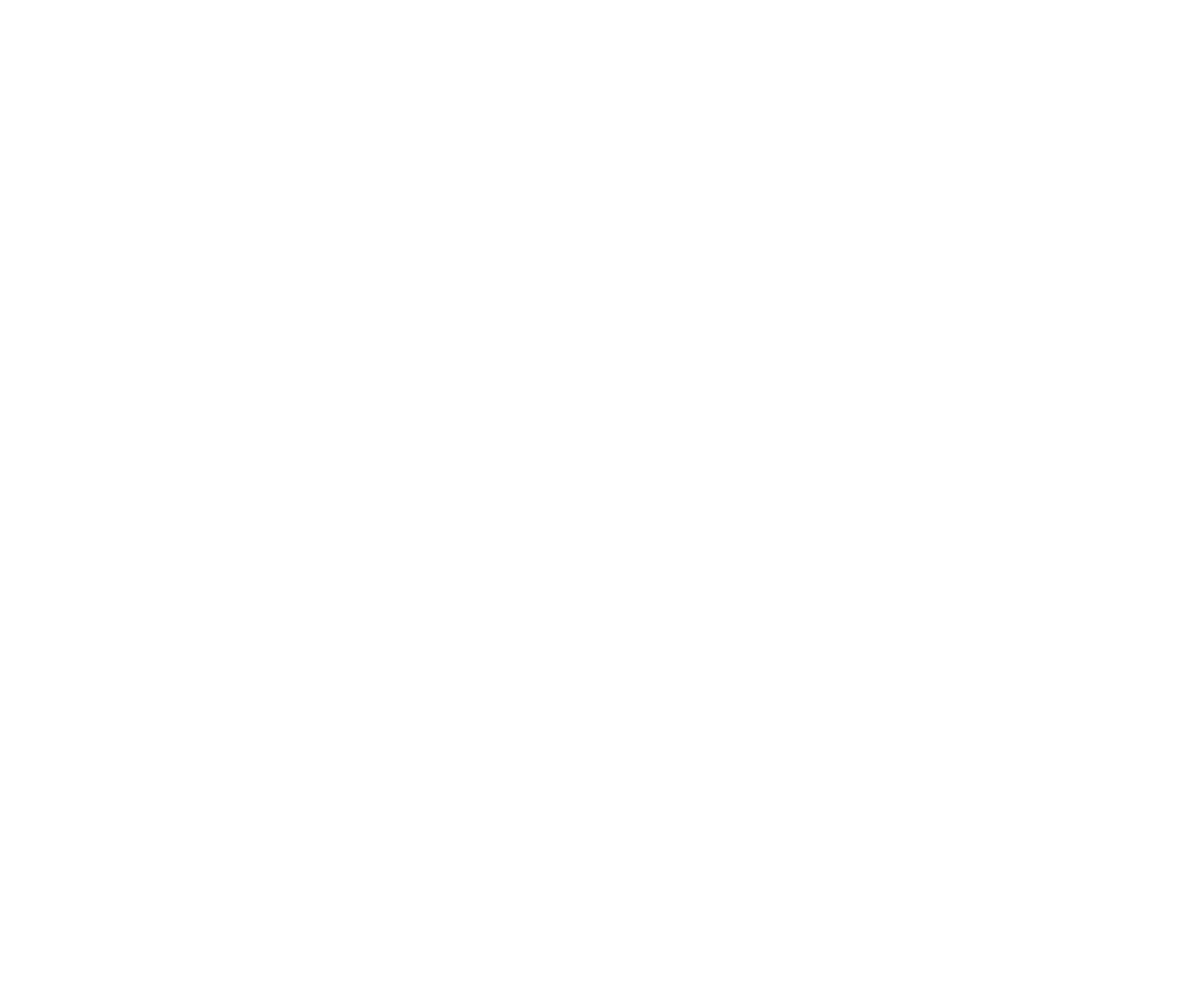 baloon-fes_logo_FIX_C2.png