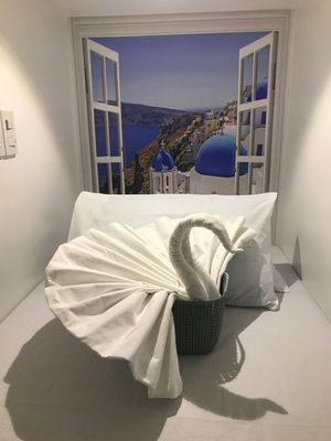Hostel Review: Shojoje's Poshtel Hostel Cebu City