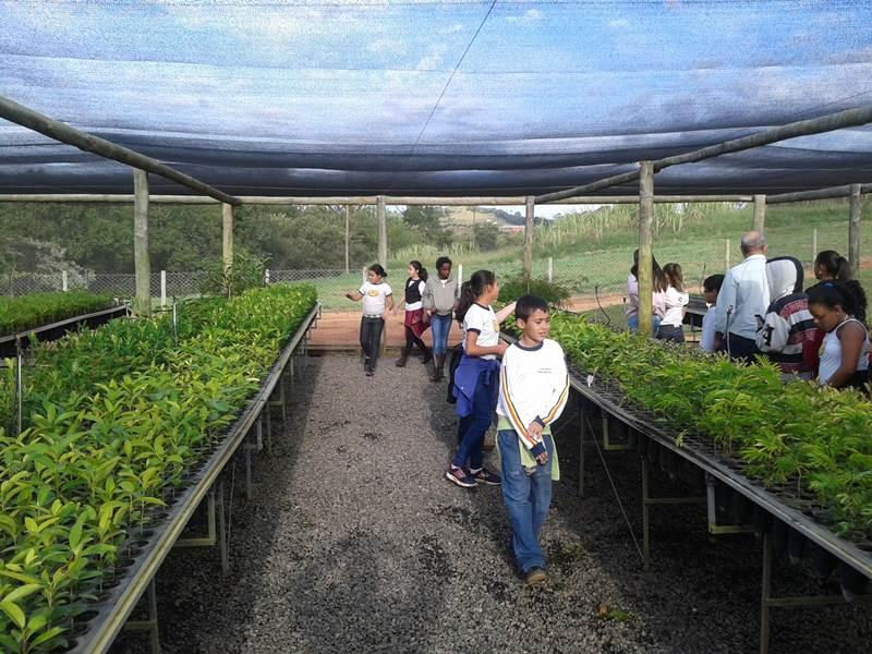NEA da Cooxupé recebeu mais de 6 mil alunos e distribuiu cerca de 35 mil mudas de árvores