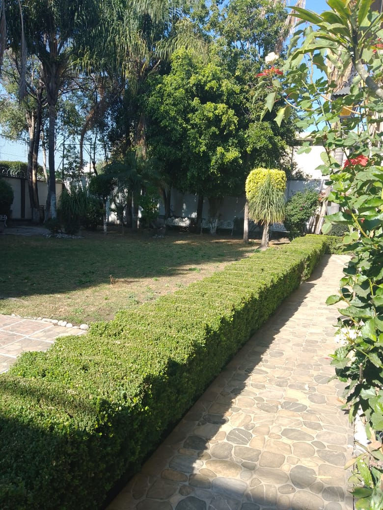 12 Lindavista La Tunga