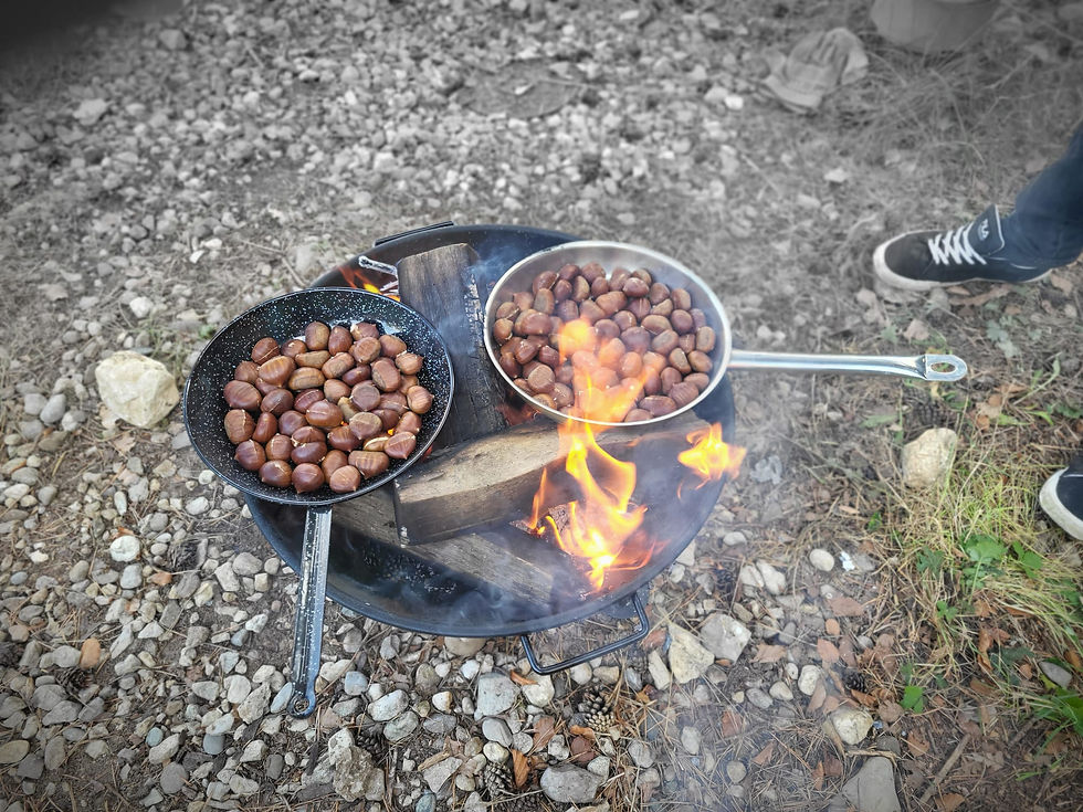 Les châtaignes sont de retour!