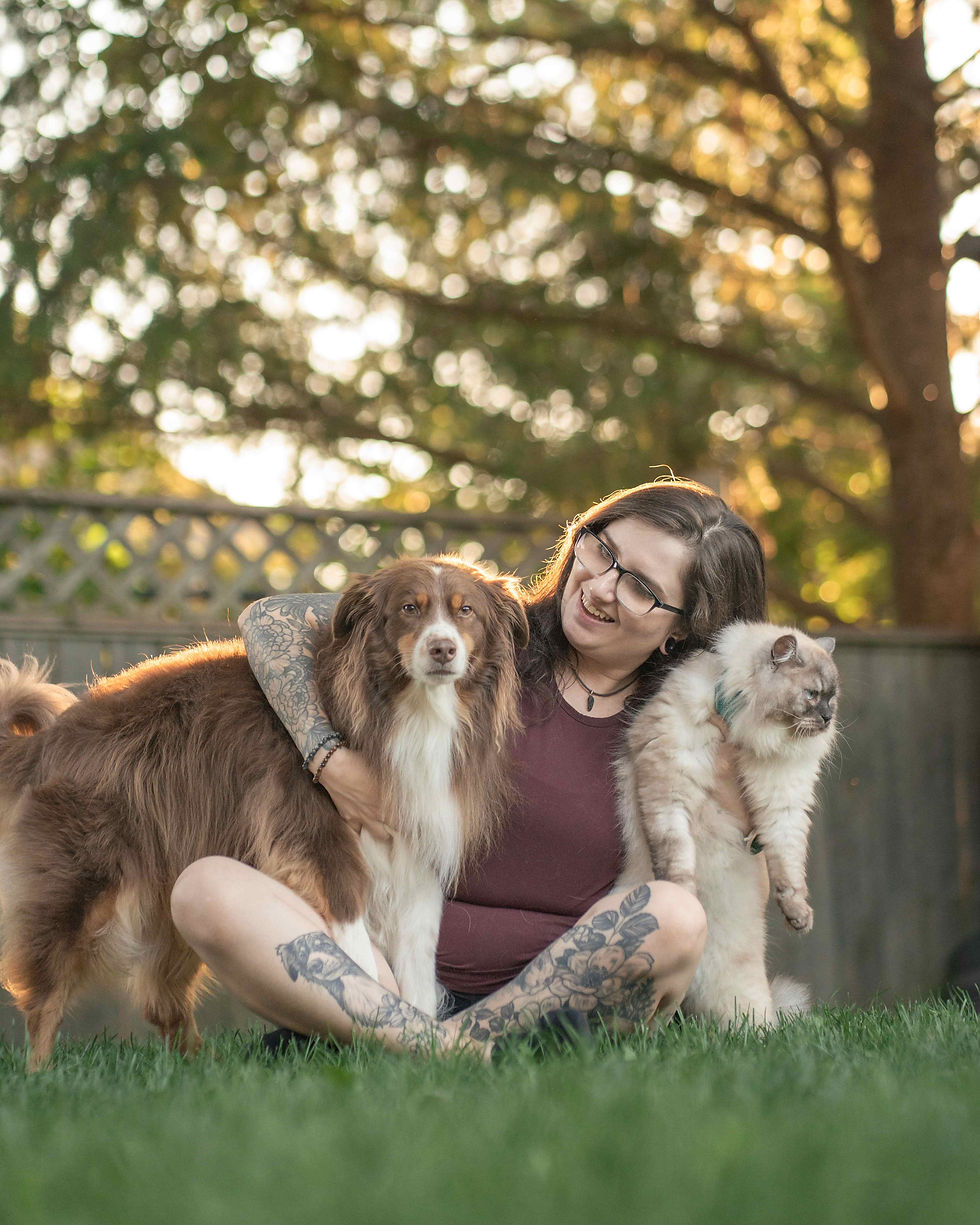 Pet content creator sitting on the grass with her brown and white dog and fluffy white cat in warm golden-hour light.