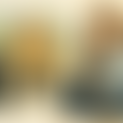 Watercolor illustration of a female content creator sitting cross-legged with a Sony camera, surrounded by photography gear including DJI Osmo Pocket, lenses, and a tan canvas camera bag with plants in the background.