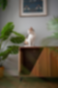 Dilute Calico Cat sitting on top of the Jessie Litter Cabinet by 4CatsNDogs, styled with plants and wall art in a modern living room