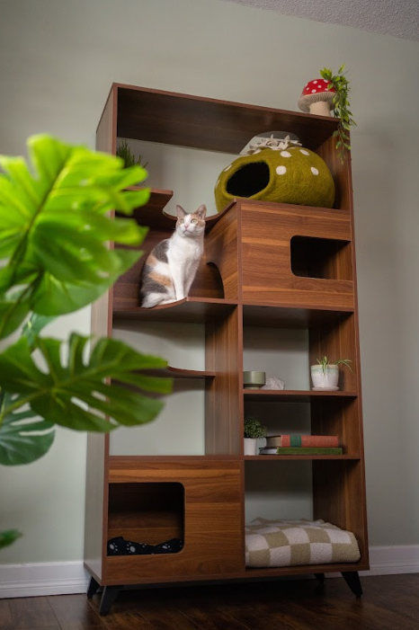 Cat exploring the Clifford Cat Tree Bookshelf from 4CatsNDogs, styled with books, plants, and a cozy cat cave.