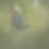Untitled (2048 x 900 px) (2048 x 2048 px) (1).png