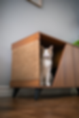Cat sitting inside the Jessie Litter Cabinet from 4CatsNDogs, a stylish cat furniture piece with hidden storage.
