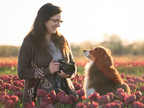 Copy of CarlyWidgetTulips-1-2_edited.png