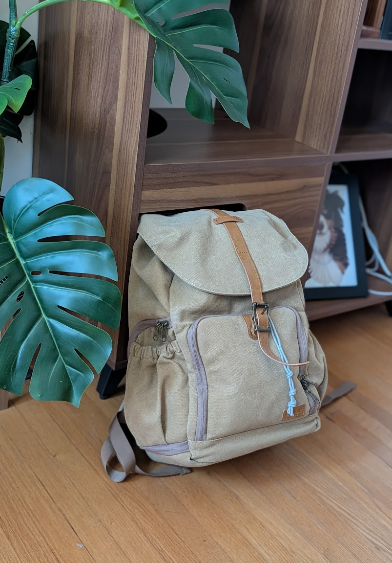Tan canvas camera bag with multiple pockets sitting on wooden floor beside plant, used by a content creator and pet influencer.