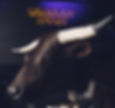 nashville_sm_05.jpg