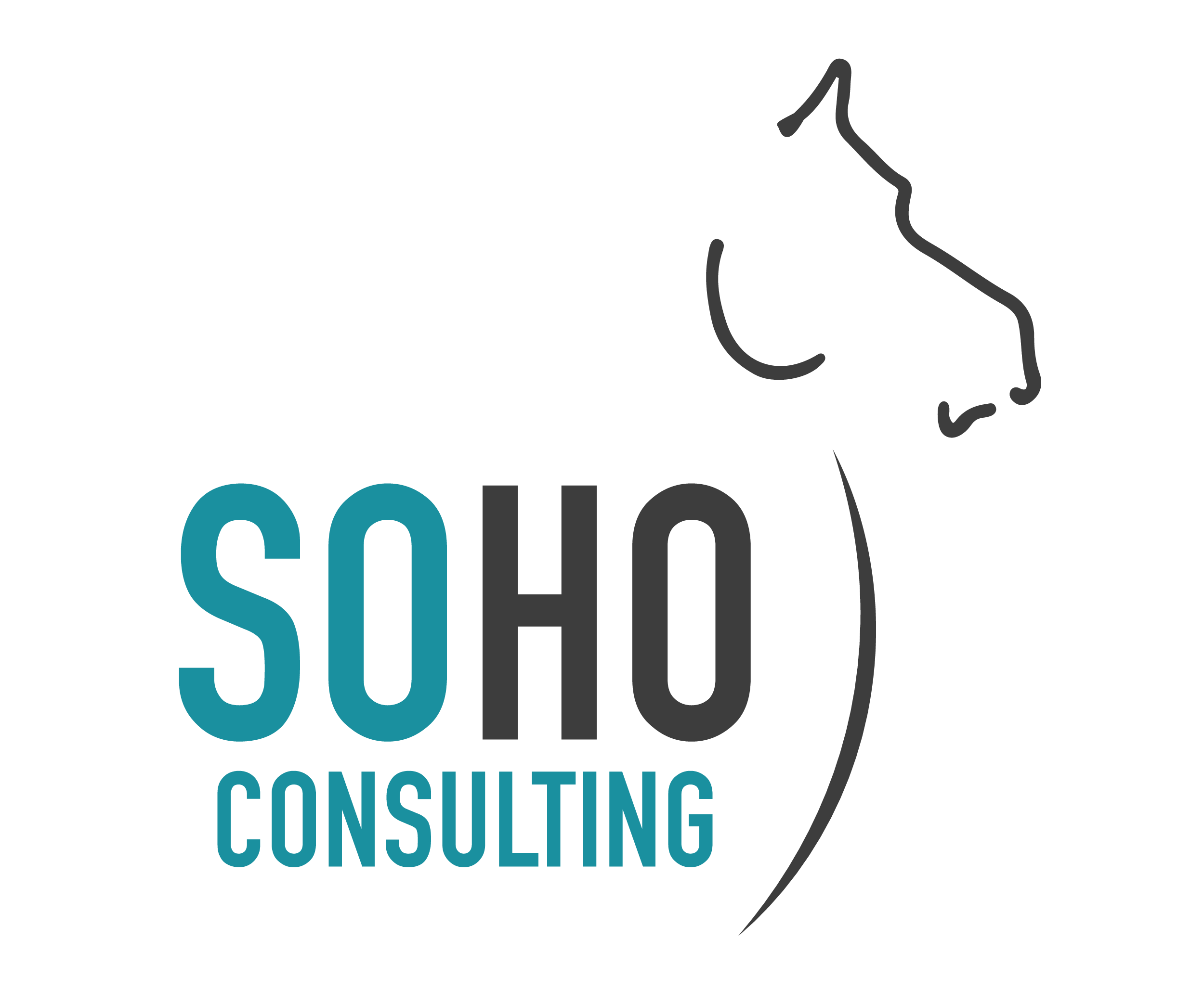 Soho Consulting