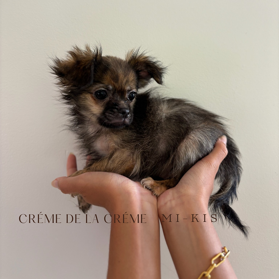 Thumbnail: Spoken For