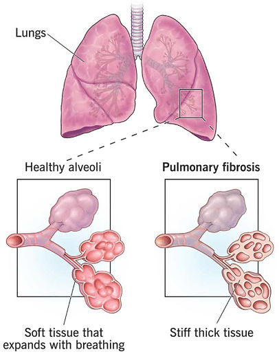 Screenshot 2026-02-01 at 1.23_edited.jpg