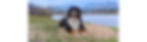 Aston-COmtns-ori 880px fnl.jpg