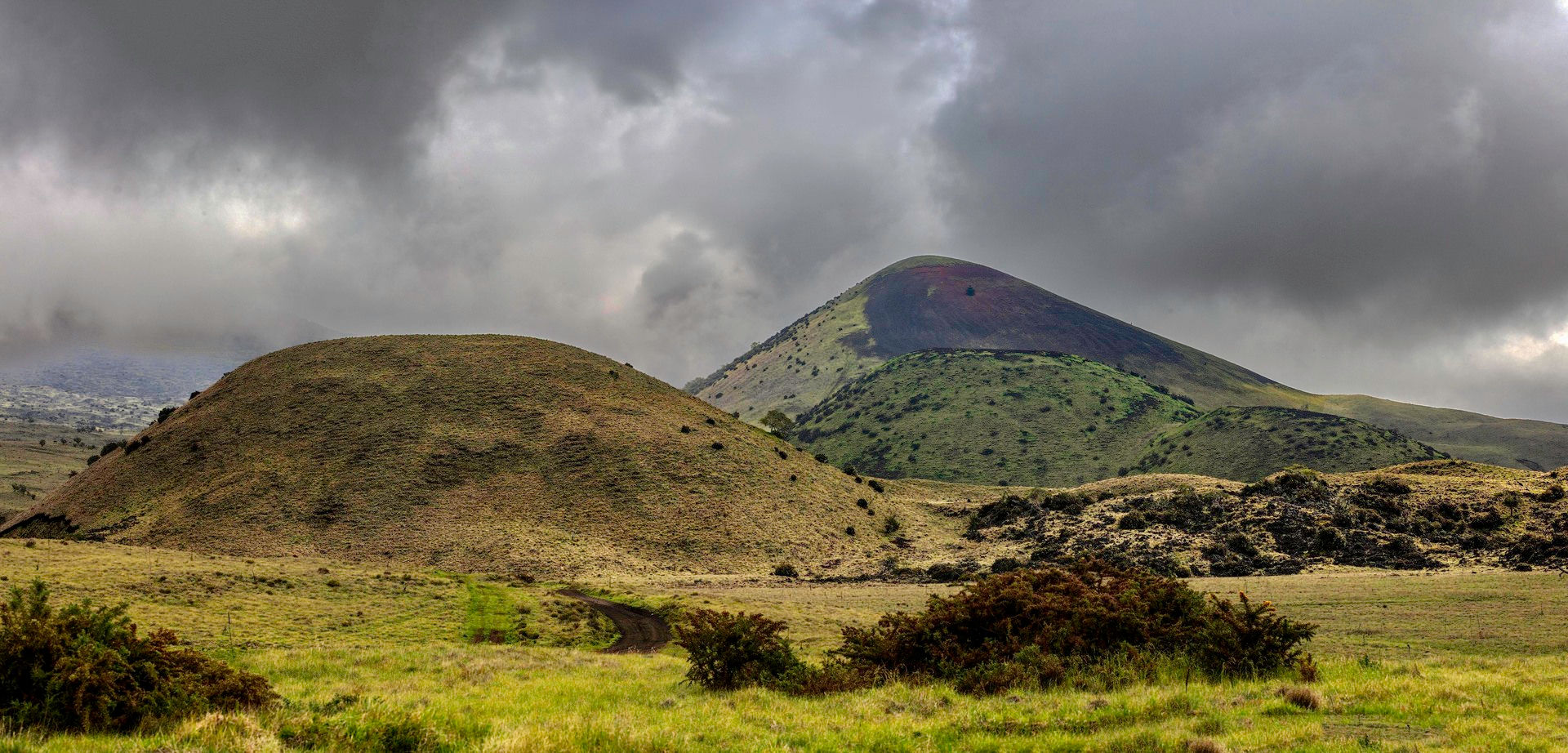 Hiking Mana Road | Michael Poore