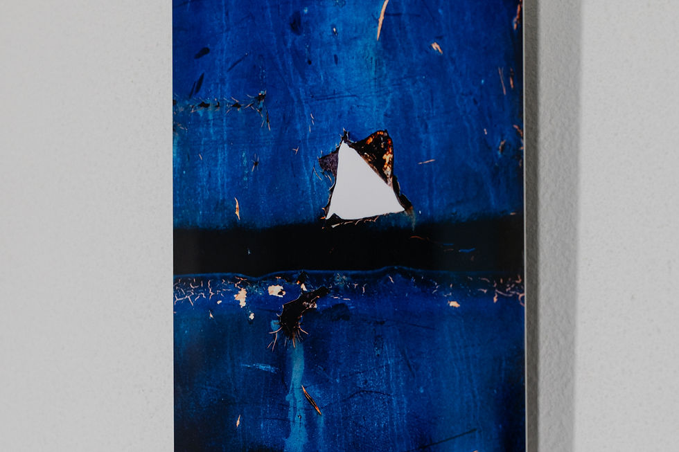 Thumbnail: Bright Star | Susan Schultz