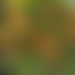 仙台に作品発送